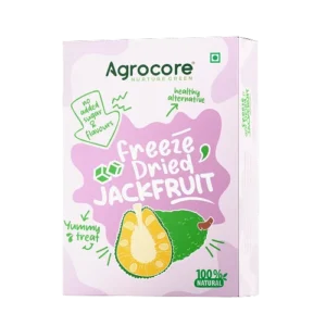 Freeze Dried Jackfruit